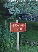 bron yr aur